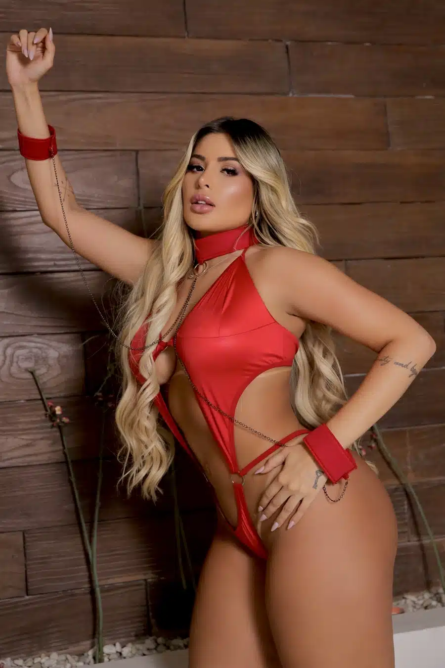 Conjunto vermelho sabor do pecado  Garota veneno  Imagem 3