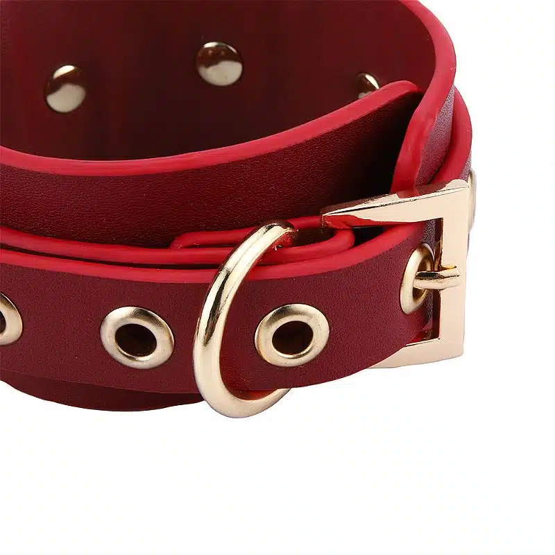 kit Thierry Bolsa de Bondage com algemas e coleira com corrente na cor vinho  Imagem 9
