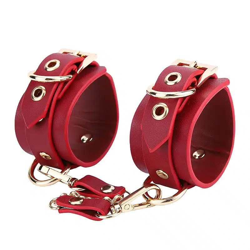 kit Thierry Bolsa de Bondage com algemas e coleira com corrente na cor vinho  Imagem 2
