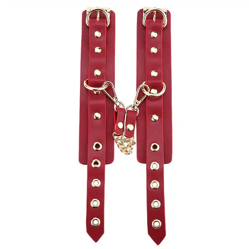 kit Thierry Bolsa de Bondage com algemas e coleira com corrente na cor vinho  Imagem 5