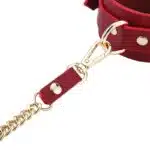 kit Thierry Bolsa de Bondage com algemas e coleira com corrente na cor vinho - Imagem 6