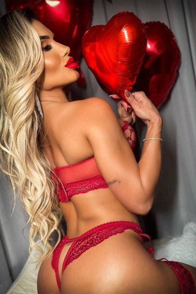 15236749204 gv04006dl 04