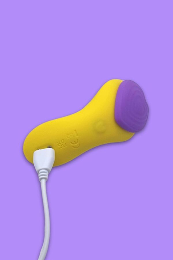 Vibrador de Calcinha Pleasure Panty com Carregamento Magnético, 9 Modos de Vibração e Controle Remoto Sem Fio - Image 2