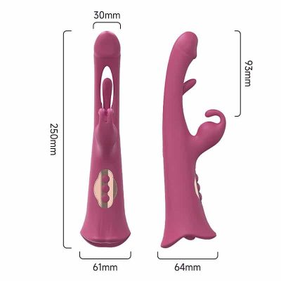 Vibrador de Ponto G e clitóris com Boca Dedilhar Slap Tease Park - S-Hande 21 27458 4