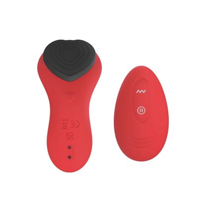 Vibrador de Calcinha com Carregamento Magnetico 9 Modos de Vibracao e Controle Remoto Sem Fio Luxury Pleasure Panty 3