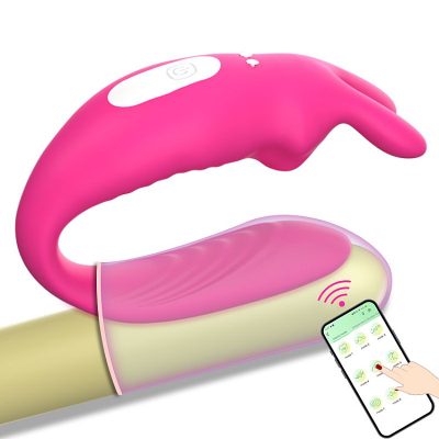 Vibrador de casal Hera recarregável com app 9 modos vibração 19 15350591253 18872 4