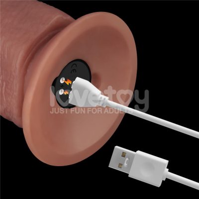 15355562579 pe266 marrom 09