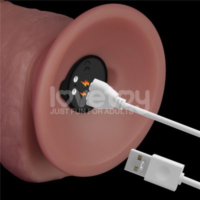 15355566415 pe264 marrom 08