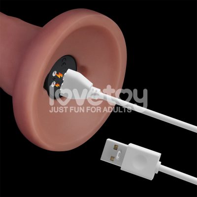 15355821812 pe263 marrom 08