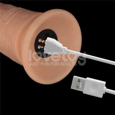 15355892966 pe255 bege 09