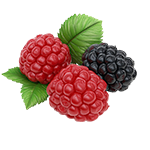 Sexshop Cuiabá  Loja Oficial