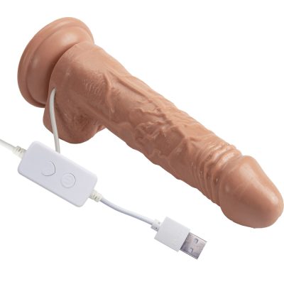 15387569237 pe120 bege 04