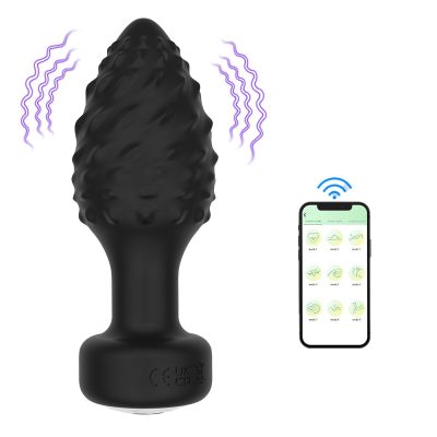 Plug Anal em Silicone com 10 Modos de Vibração e Controle por Aplicativo 15 15387637152 pl193 preto 01