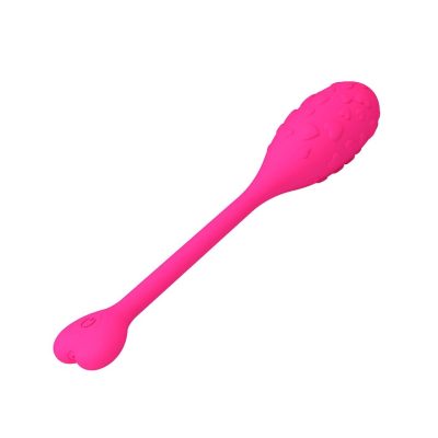 15394670572 vibrador bullet via app a longa distancia fisherman pretty love 3