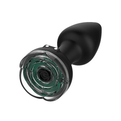 Alternative view of Plug Anal com vibro e Controle Remoto por Voz - 7.7 x 3.7cm