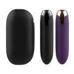 Vibrador Bullet com Case Recarregável - Lillie