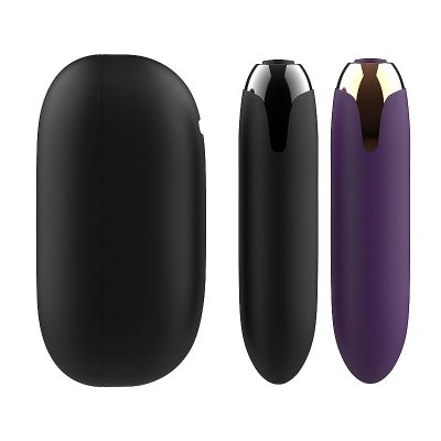 Vibrador Bullet com Case Recarregável - Lillie
