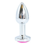 Plug Anal Anatômico de Metal - Tamanho PP (Ideal para Iniciantes) - Imagem 21