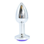 Plug Anal Anatômico de Metal - Tamanho PP (Ideal para Iniciantes) - Imagem 30