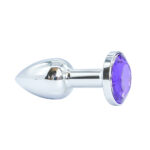Plug Anal Anatômico de Metal - Tamanho PP (Ideal para Iniciantes) - Imagem 32