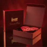 Secret Box INTT Calendário do Desejo Kit de Luxo com Vibradores e Acessórios Eróticos 7 Dias - Imagem 3